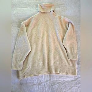 Zara Turtleneck Sweater